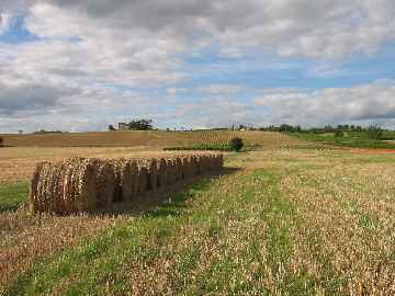 Rouleaux de paille