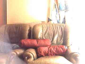 Fauteuils en cuir marron