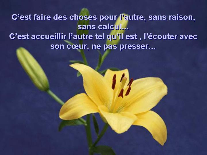 Aimer... 04