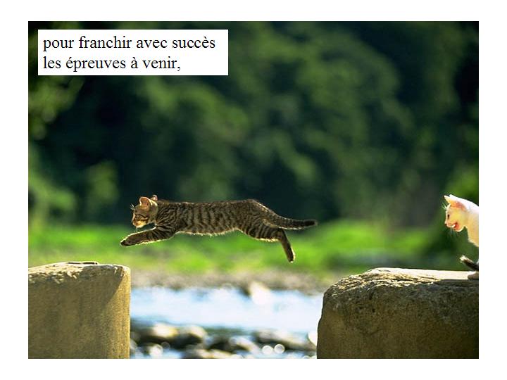 Bonne année 07