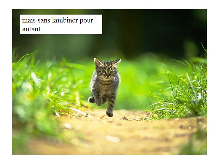 Bonne année 10