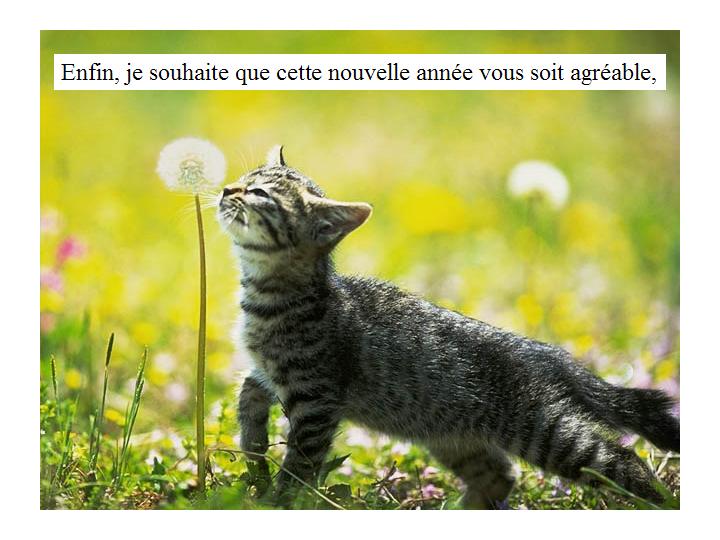 Bonne année 21