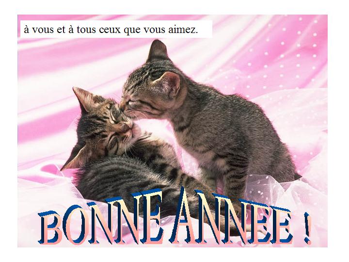 Bonne année 23