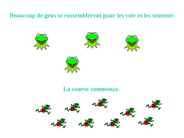 La petite grenouille 03