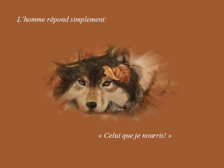 Le combat 06
