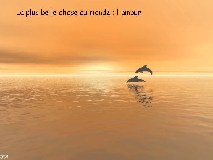 Les treize commandements de la vie 08