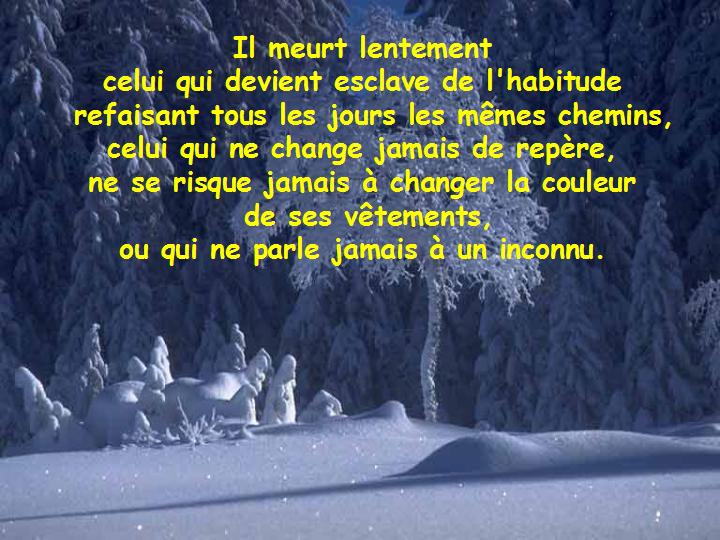 Ne te prive pas d'être heureux 03